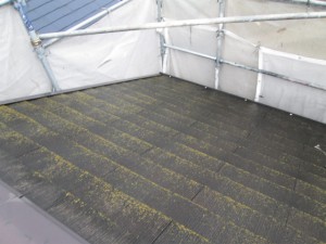 屋根（カラーベスト）塗装前
