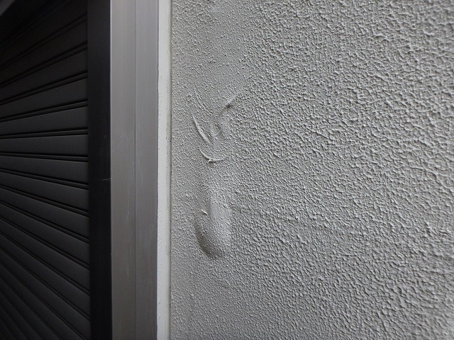 岸和田市に、塗装作業の前の外壁補修の現場にきました。