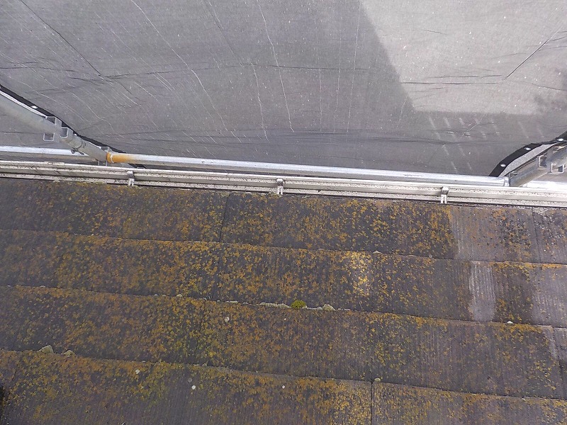 屋根にコケがある場所を高圧洗浄